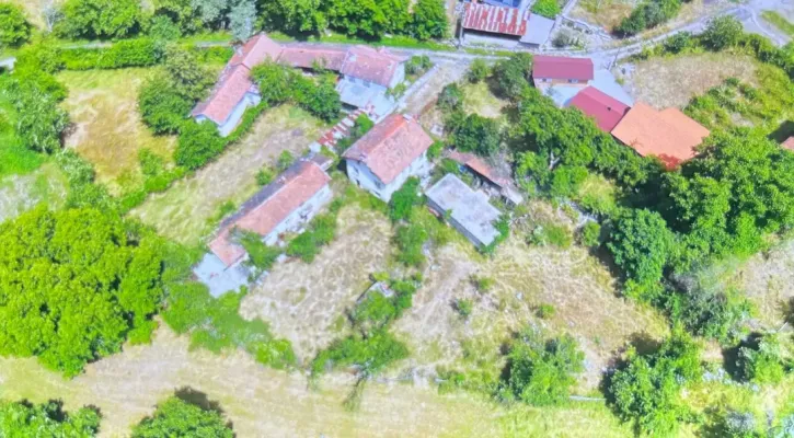Charming House Near Forest &amp; River in Raduil - Image 3