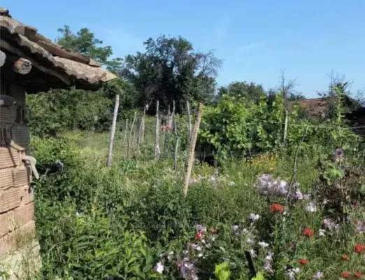 House for sale in Gorna Oryahovitsa - Image 3