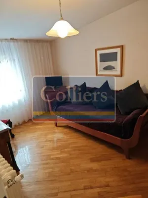 Spacious Belgrade Estate: 10 Bedrooms, Luxury Home for Sale - Image 3