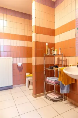 Charming Albert District Apartment with Terrace – 45m2 – Forest - Image 5
