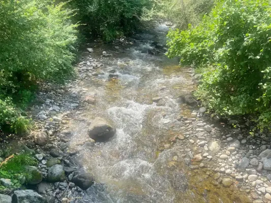 Charming House Near Forest &amp; River in Raduil - Image 5