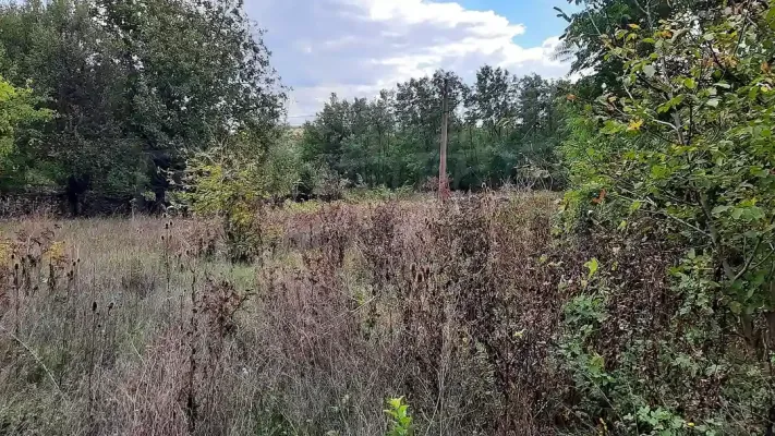 House for sale in Pavlikeni - Image 2