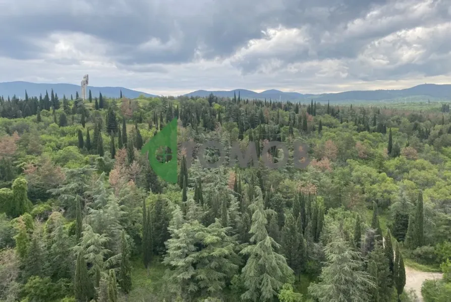 Spacious Three-Bedroom Apartment with Stunning City Views. - Image 2