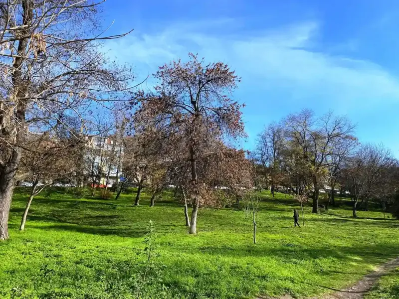 Stylish One-Bedroom Apartment Near Bunardzhik Park, Plovdiv - Image 3