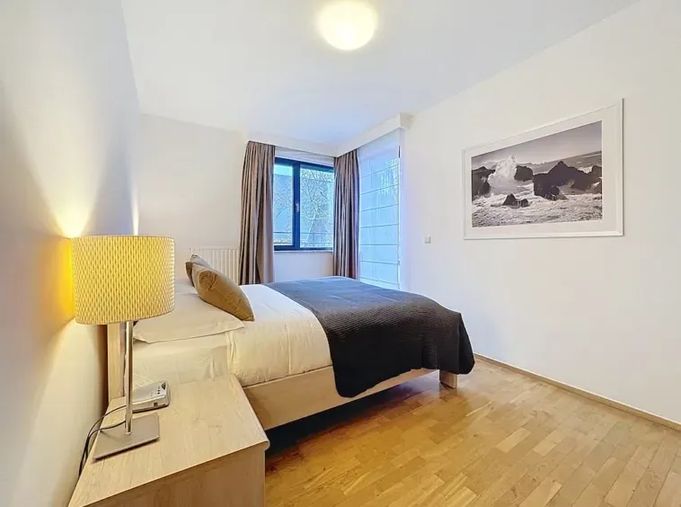 Luxurious Brussels Penthouse with Park Views – Spacious & Fully Furnished - Image 5