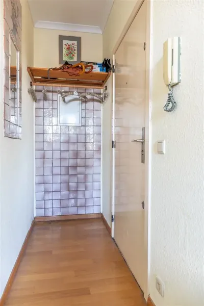 Charming Albert District Apartment with Terrace – 45m2 – Forest - Image 1