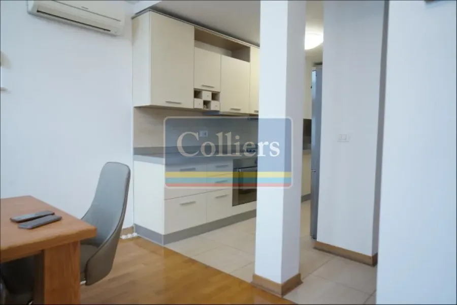 Spacious Modern Penthouse Apartment with Stunning Vračar Views - Image 5