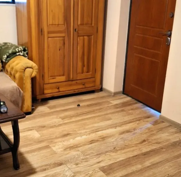 Spacious 3-Bedroom House for Rent in Belgrade - Kosmaj Area - Image 2