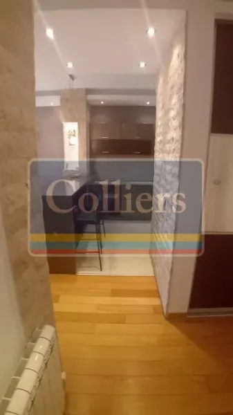 Spacious 2-Bedroom Apartment with Garage - Savski Venac - Image 1