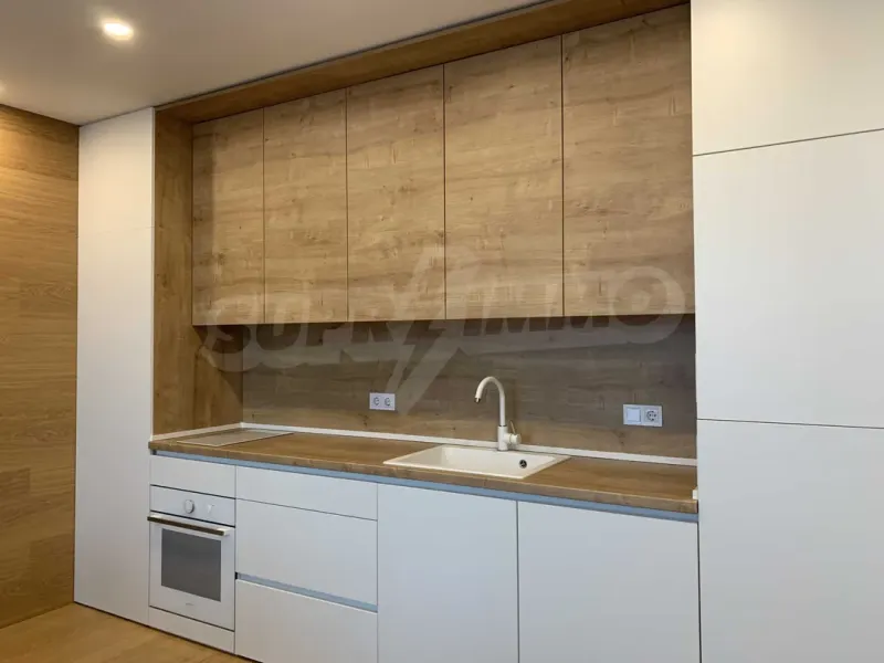 Spacious, Furnished Apartment with Vitosha Views - Image 3