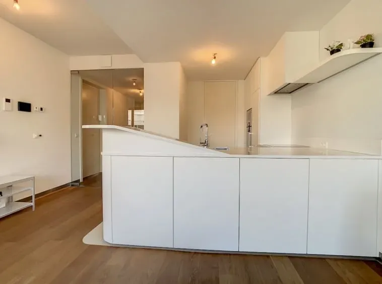 Luxurious Brussels Penthouse with Terrace, Parking & Concierge Services - Image 1