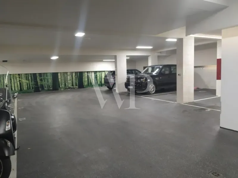 Modern Duplex Apartment with Elevator in Vracar, Belgrade - Image 2