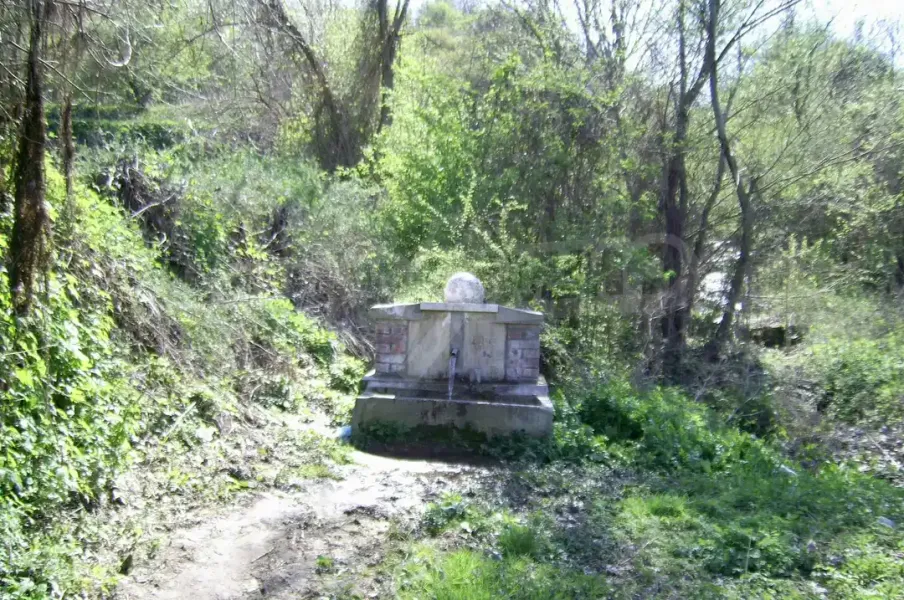 Charming South-Facing House with Land in Picturesque Vidin Region, Bulgaria - Image 1