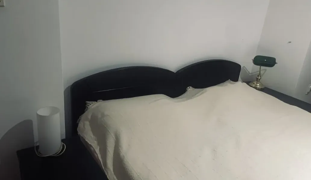 Spacious 3-Bedroom Apartment in Belgrade, Fully Furnished for Rent - Image 5