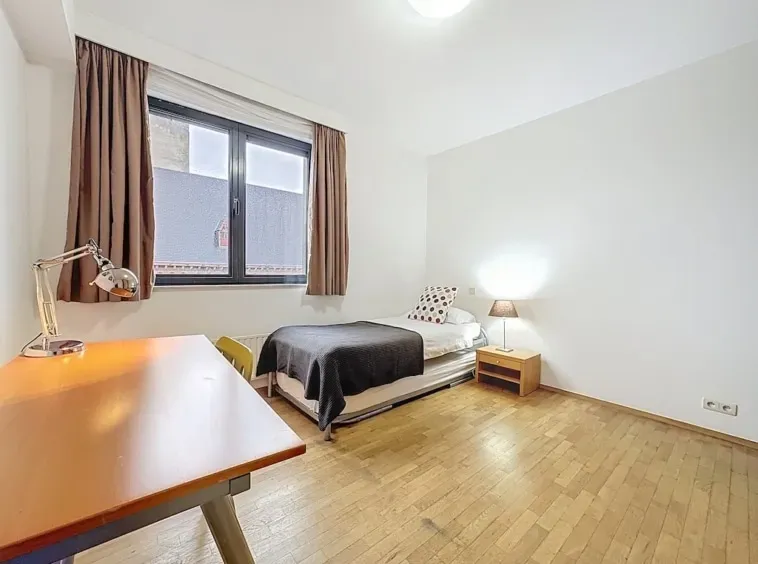 Luxurious Brussels Penthouse with Park Views – Spacious & Fully Furnished - Image 3