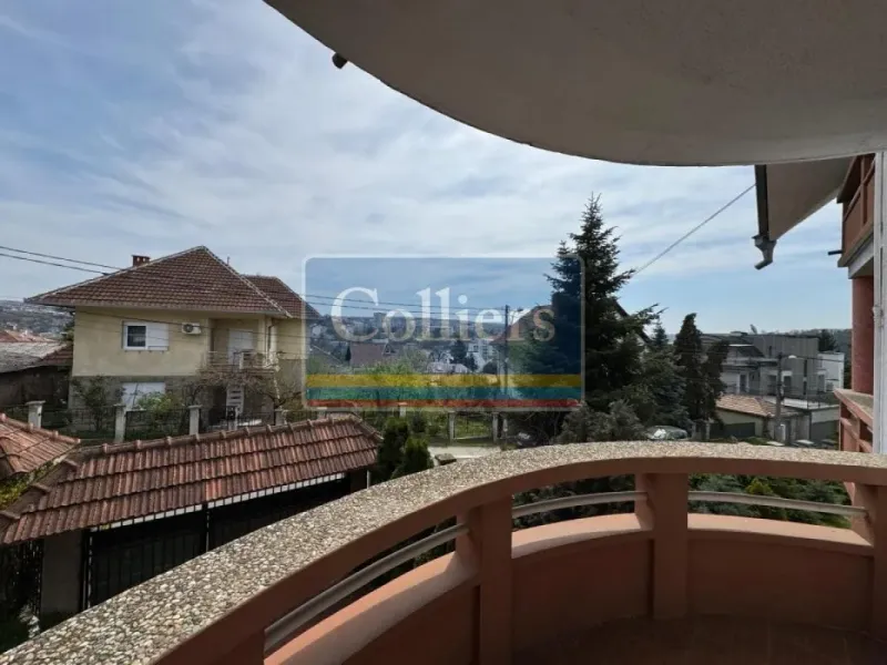 Spacious, Renovated Apartment with Terrace in Belgrade, Serbia - Image 5