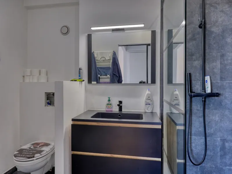 Spacious Studio with Terrace & Atomium View in Brussels - 40m² - Image 5