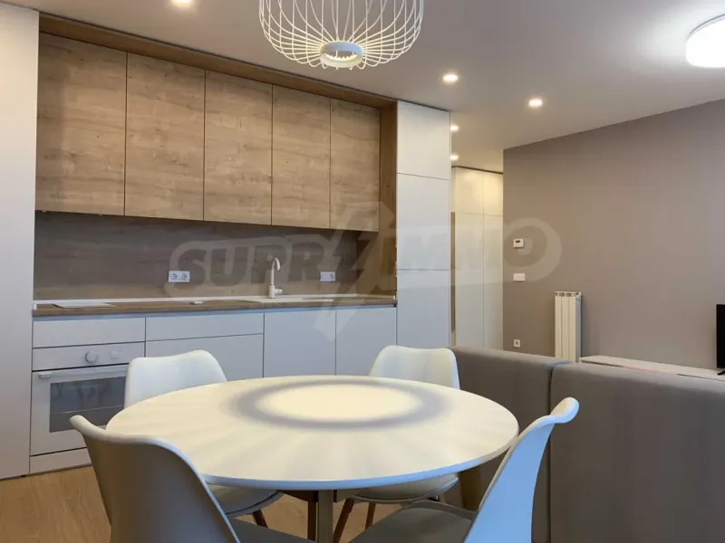 Spacious, Furnished Apartment with Vitosha Views - Image 1