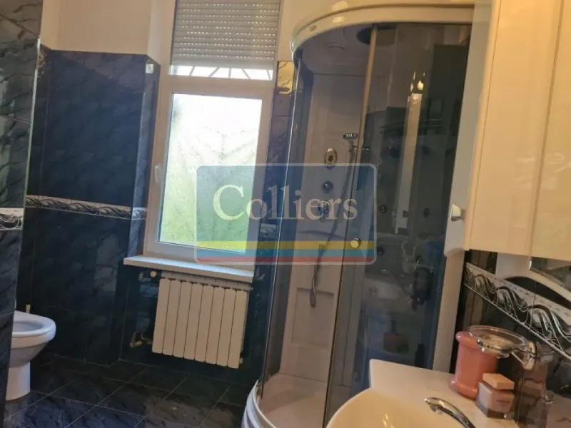 Spacious Villa in Puskinova Street, Belgrade - For Rent - Image 2