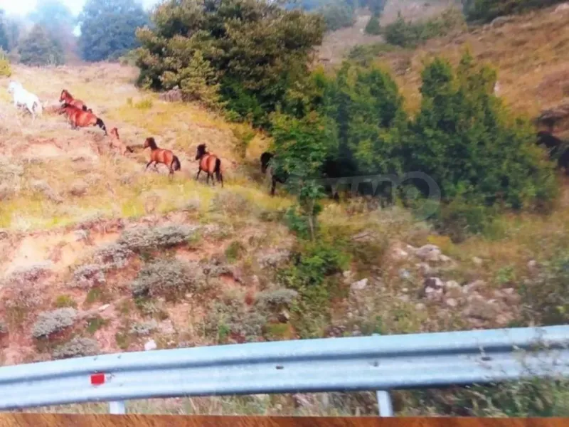 Spacious House with Stunning Views in Sideronero, Drama, Greece - Image 3
