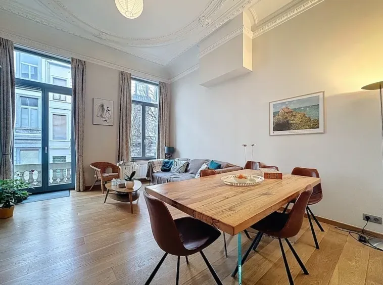 Bright 2-Bedroom Apartment with Terrace in Ixelles, Brussels - Image 2