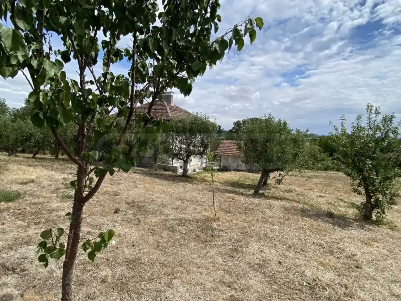 Spacious House with Danube Views & Large Garden - Image 2