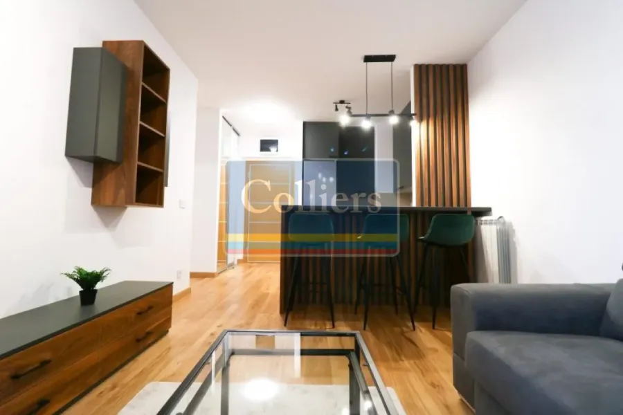 One-Bedroom Apartment in Belgrade with Parking and Pet-Friendly Option - Image 1