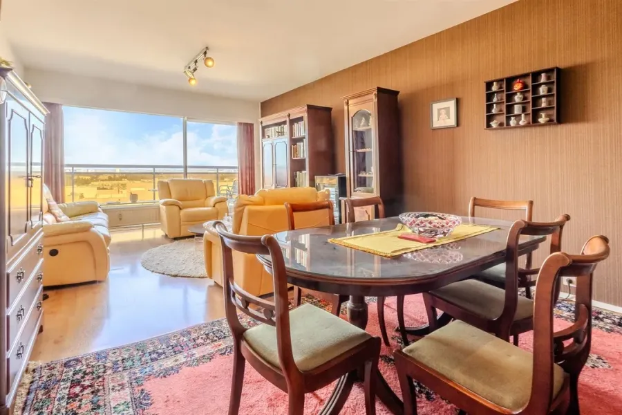 Spacious Brussels Apartment with Terraces & Panoramic City Views - Image 3