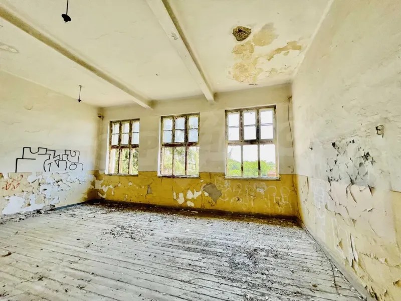 Spacious Two-Building Estate Near Ruse with Park Land - Image 2