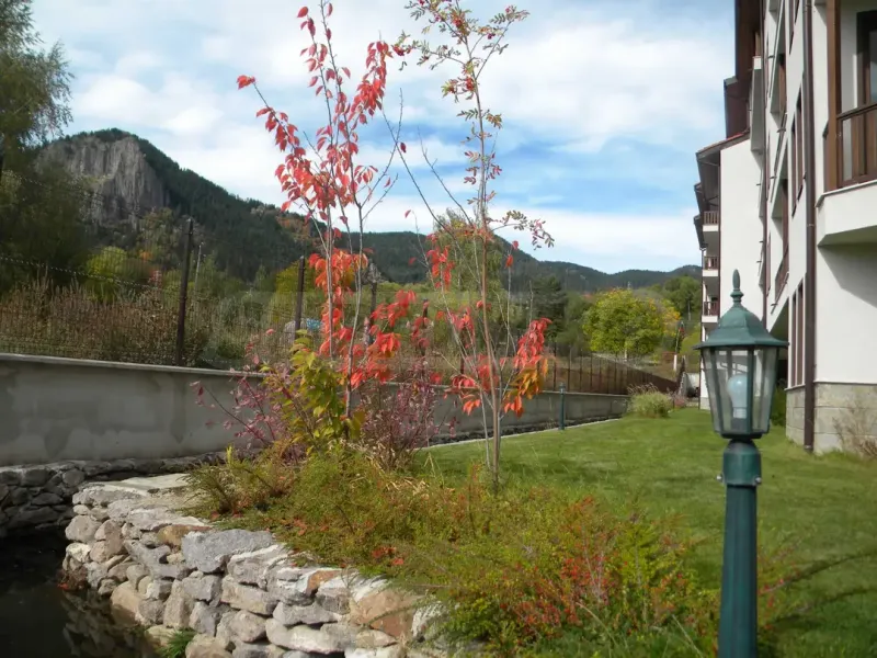 Spacious 3-Bedroom Apartment Near Pamporovo Resort - Image 5