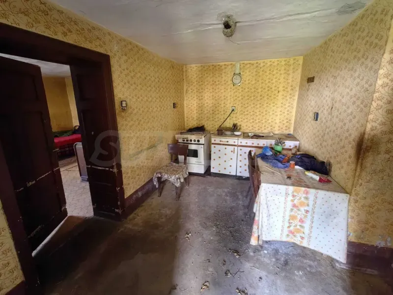 Spacious House by the Danube River in Novo Selo - Image 1
