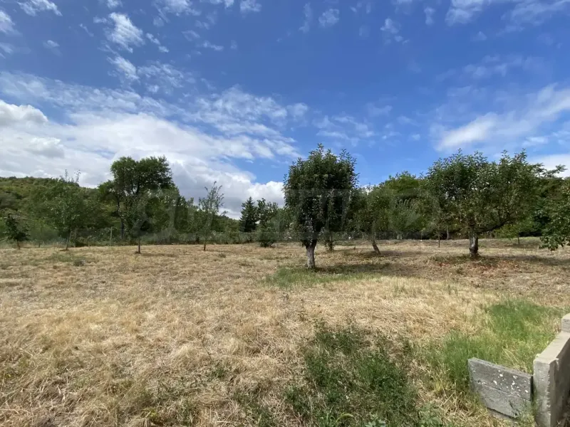 Spacious House with Danube Views & Large Garden - Image 4