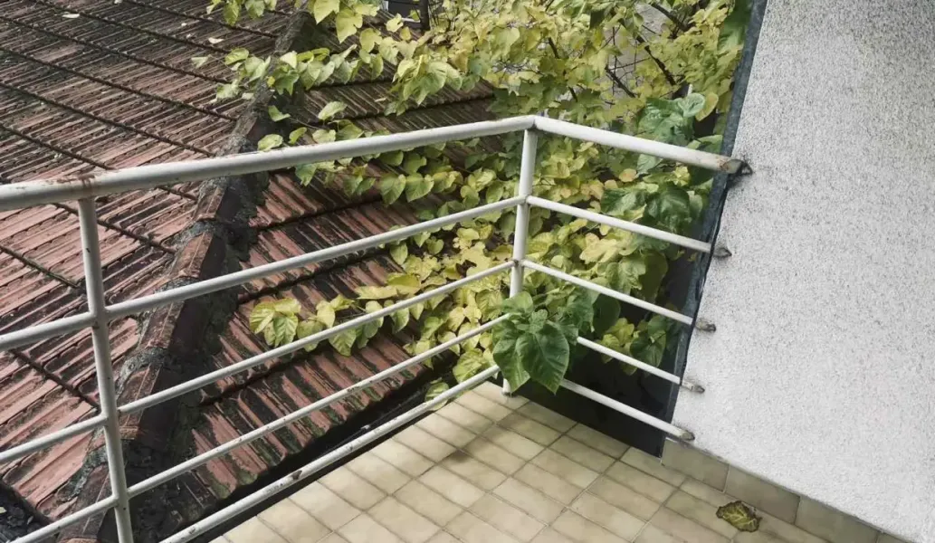 Spacious 3-Bedroom Apartment in Belgrade, Fully Furnished for Rent - Image 2