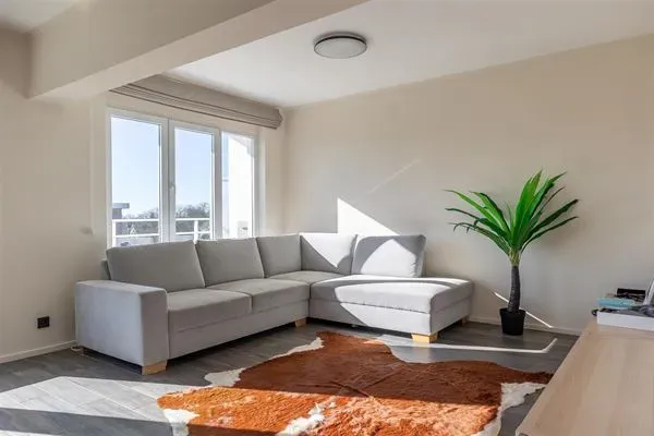 Bright 3-Bedroom Penthouse with Terraces & Parking in Ukkel - Image 4