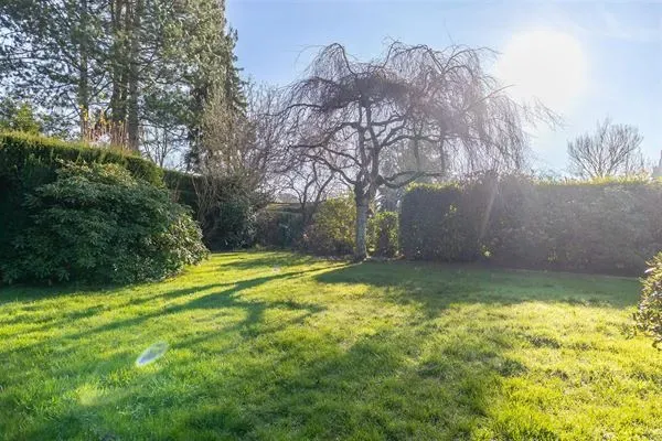 Charming Single-Storey Villa in Waterloo with No Overlooking Neighbors - Image 2