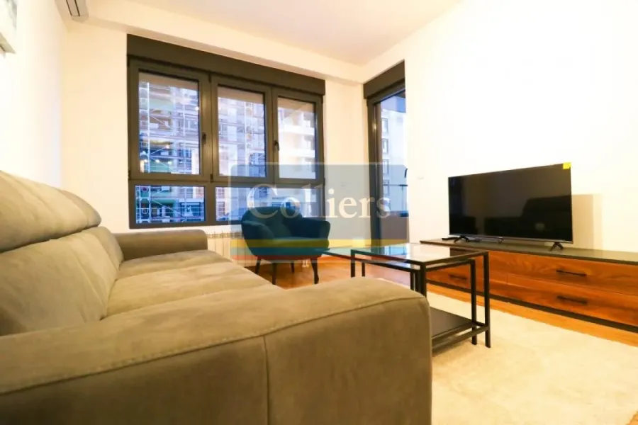 One-Bedroom Apartment in Belgrade with Parking and Pet-Friendly Option - Image 5
